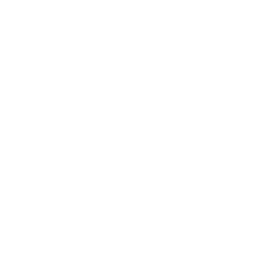David Palomino RE/MAX